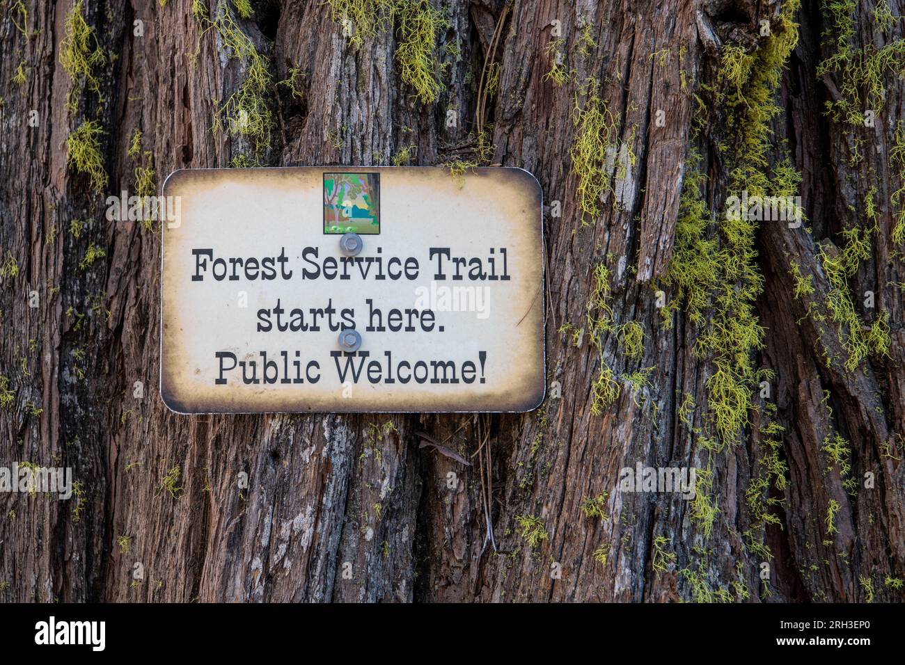A sign telling hikers that the forest service trail starts here and that the public is welcome, in the Sierra Nevada Mountains, California. Stock Photo