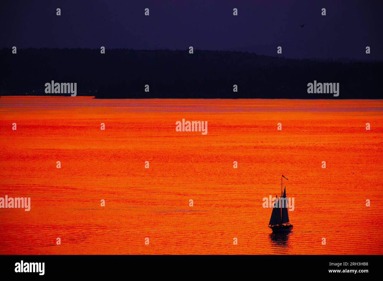 A sailboat is silhouetted in the setting sun's afterglow over the Salish Sea outside Seattle with the Olympic Mountains in the background. Stock Photo
