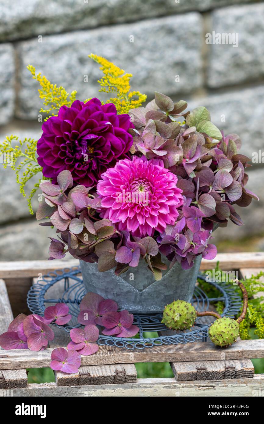 Goldenrod arrangement hi-res stock photography and images - Alamy