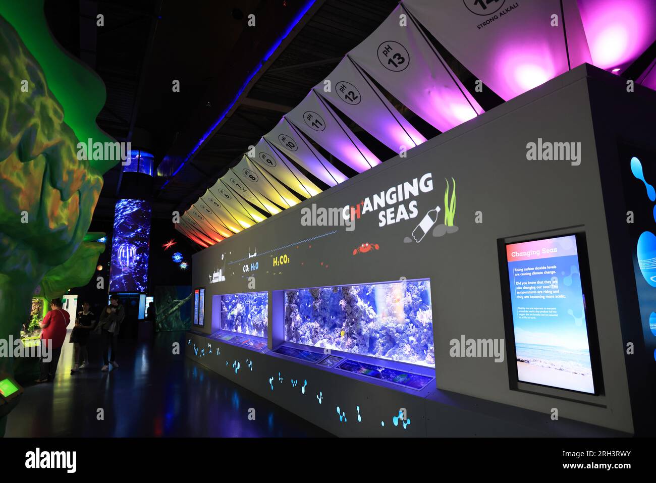 Inside The Acclaimed Aquarium The Deep With Over 3000 Creatures In