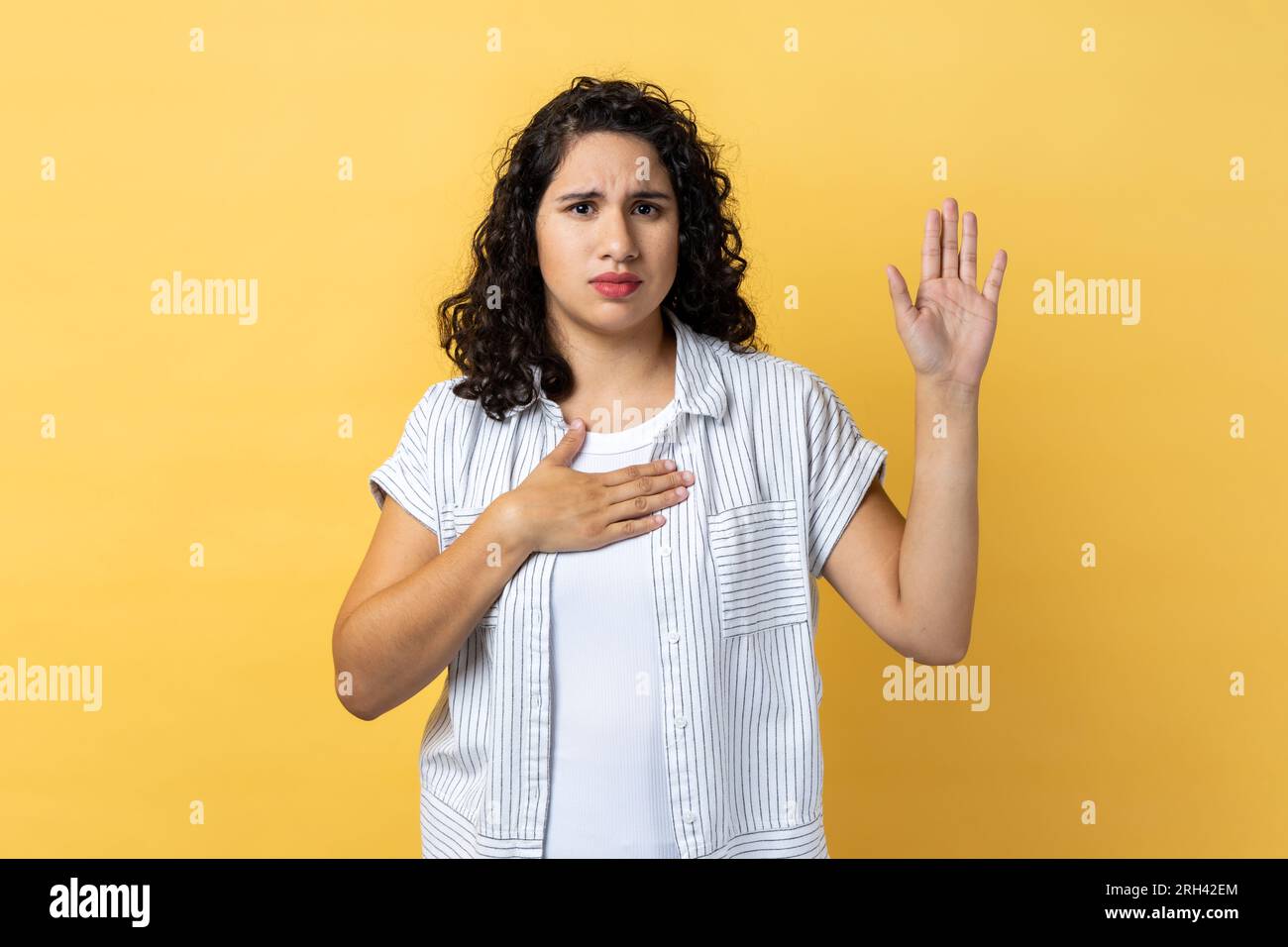 Portrait of serious responsible attractive woman with dark wavy hair raising her palm to take oath, female swearing to tell only truth. Indoor studio shot isolated on yellow background. Stock Photo