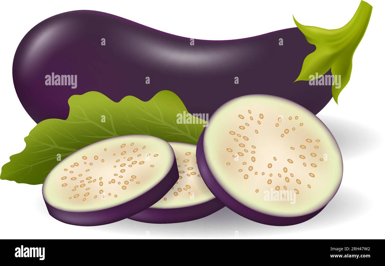 Realistic aubergines composition Stock Vector
