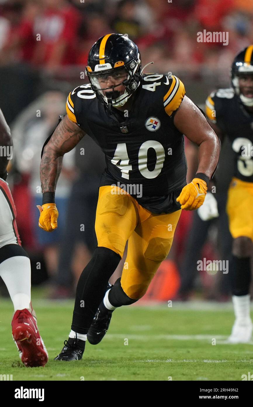 Pittsburgh Steelers linebacker David Perales (40) rushes the quarterback  during an NFL preseason football game against the Tampa Bay Buccaneers,  Friday, Aug. 11, 2023, in Tampa, Fla. (AP Photo/Peter Joneleit Stock Photo  - Alamy