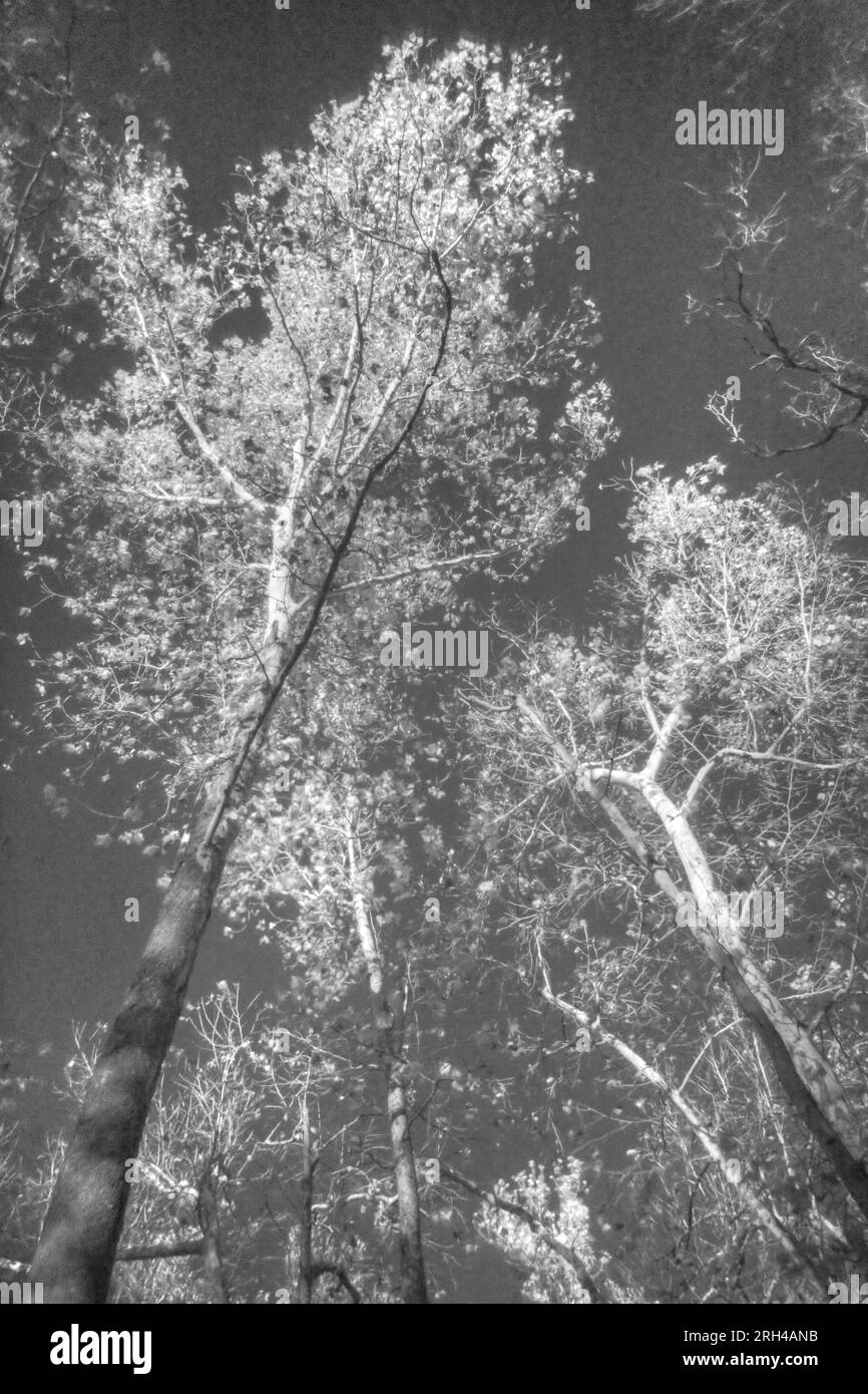 Wildcat Park in Joplin, Missouri Stock Photo Alamy