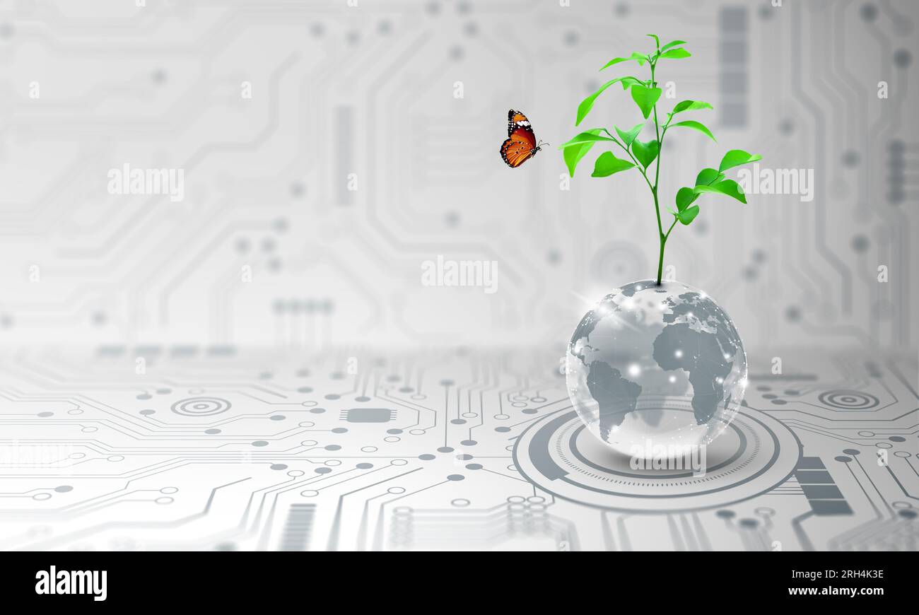 Tree growing on crystal globe. Digital Convergence and and Technology Convergence. Blue light, binary and network background. Green Computing. Stock Photo