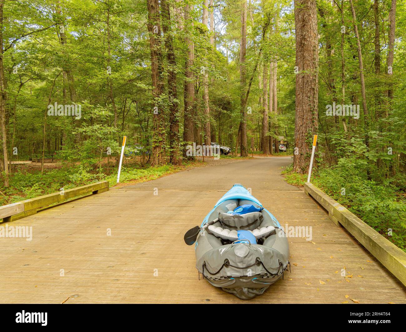 Kayak on ground in Caddo Lake State Park at Texas Stock Photo - Alamy