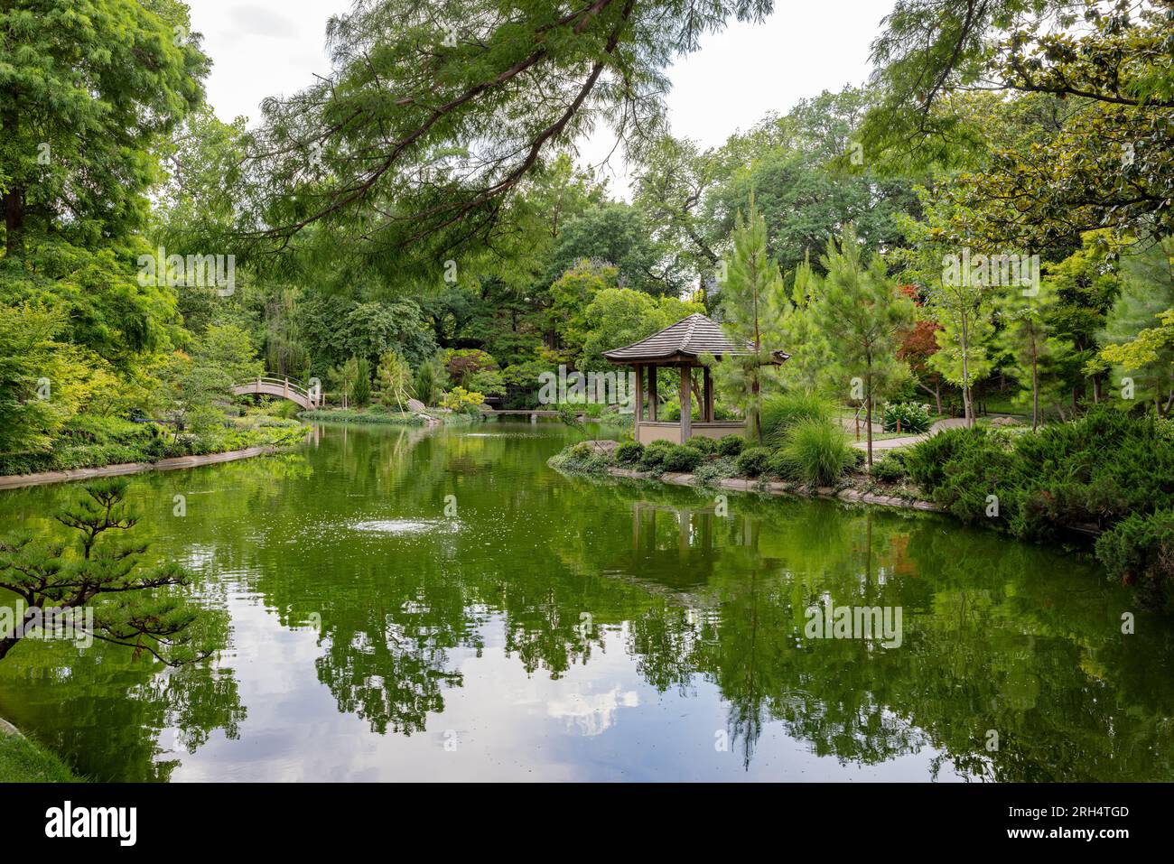 Fort Worth Botanic Garden (including Japanese Garden) photo 1