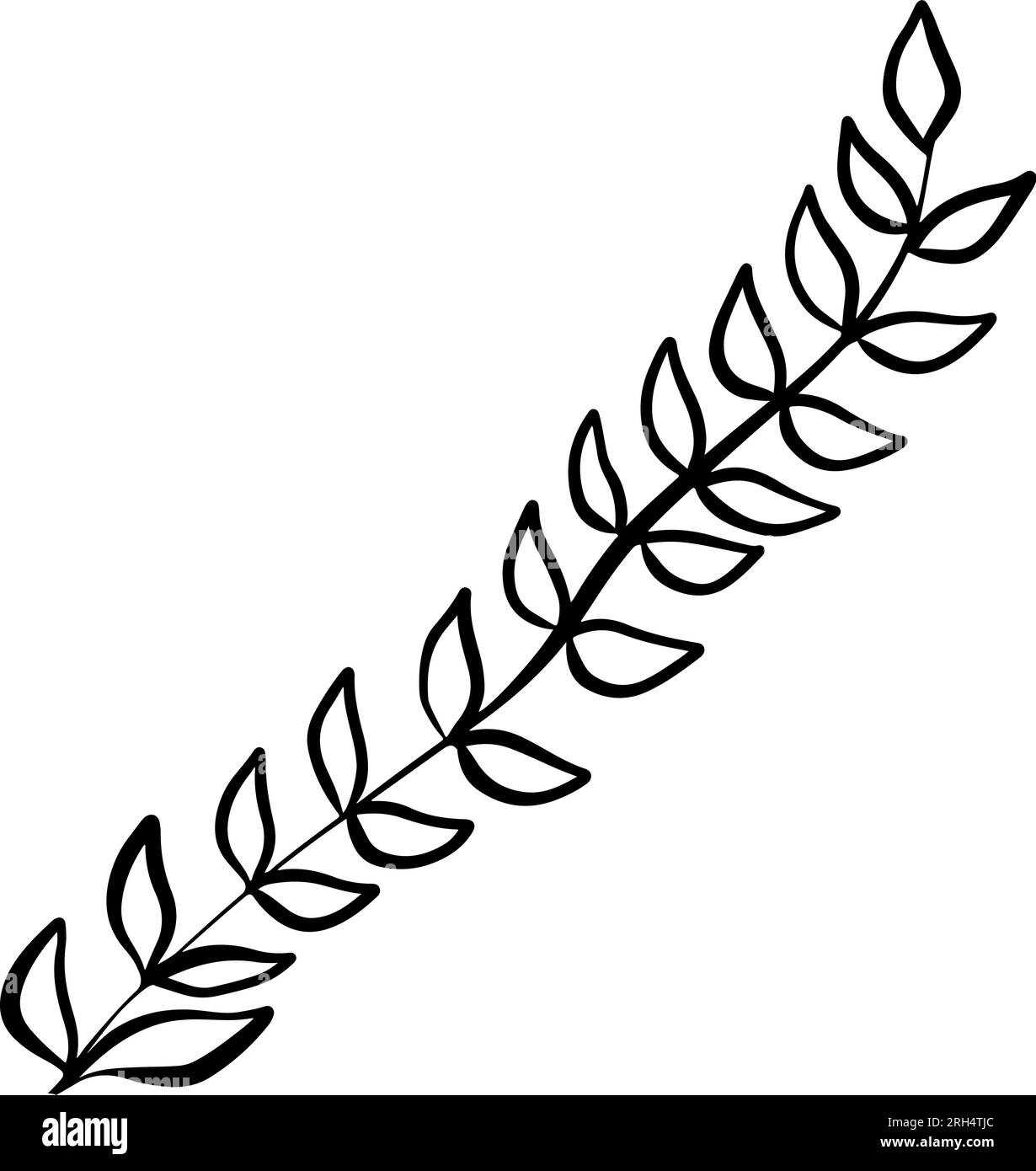 Simple Way To Draw A Leaf - YouTube