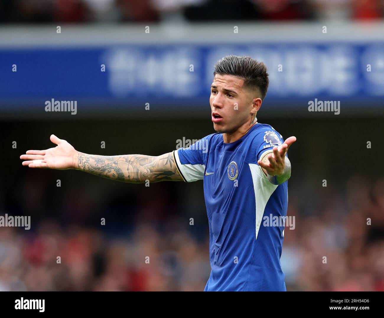 London, UK. 13th Aug, 2023. Enzo Fernández of Chelsea during the Premier League match at Stamford Bridge, London. Picture credit should read: David Klein/Sportimage Credit: Sportimage Ltd/Alamy Live News Stock Photo