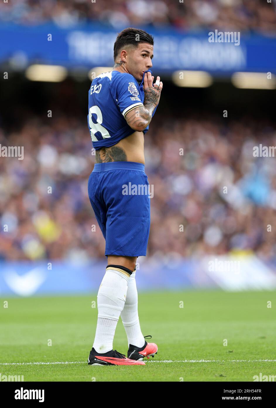 London, UK. 13th Aug, 2023. Enzo Fernández of Chelsea during the Premier League match at Stamford Bridge, London. Picture credit should read: David Klein/Sportimage Credit: Sportimage Ltd/Alamy Live News Stock Photo