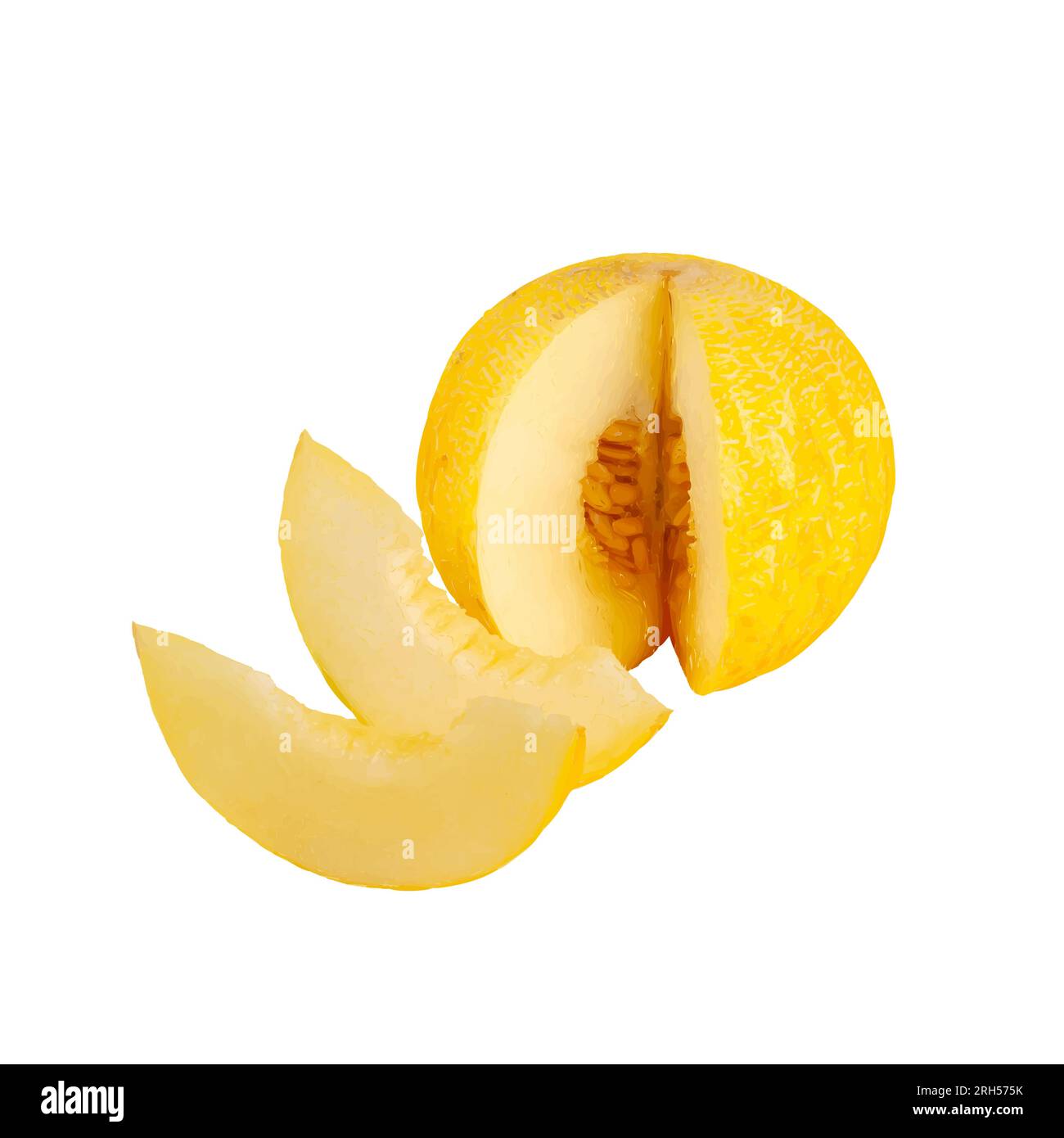Realistic Vector illustration of melon. Ripe fruit Sliced melon with
