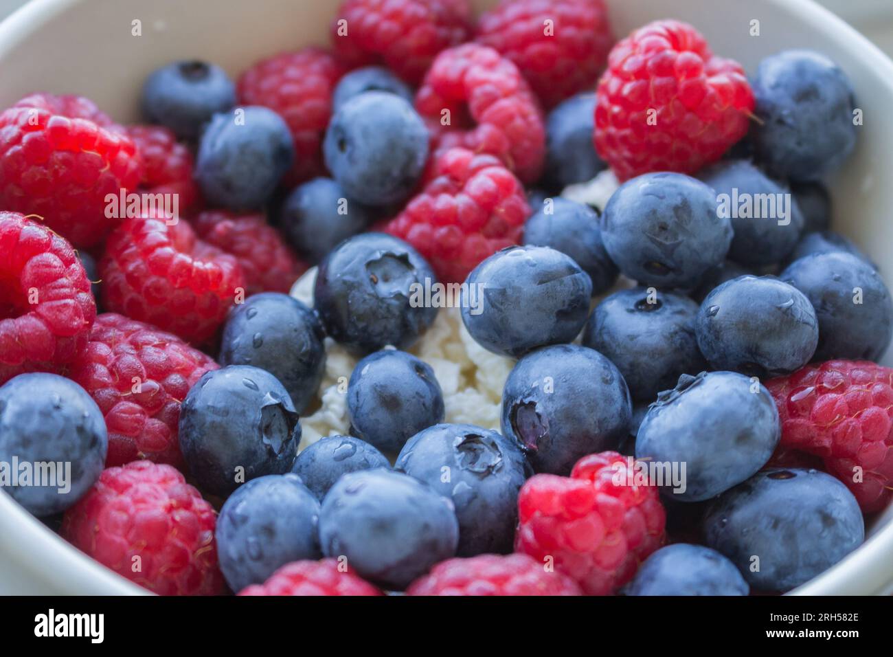 Blueberry and raspberry fruit with cottage cheese  in a bowl. Healthy breakfast concept. Healthy eating. Sweet raw food. Vitamins in a plate. Stock Photo