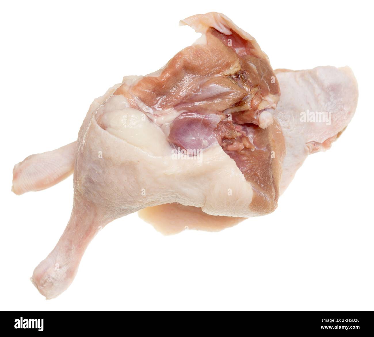 Duck legs on white background Stock Photo - Alamy