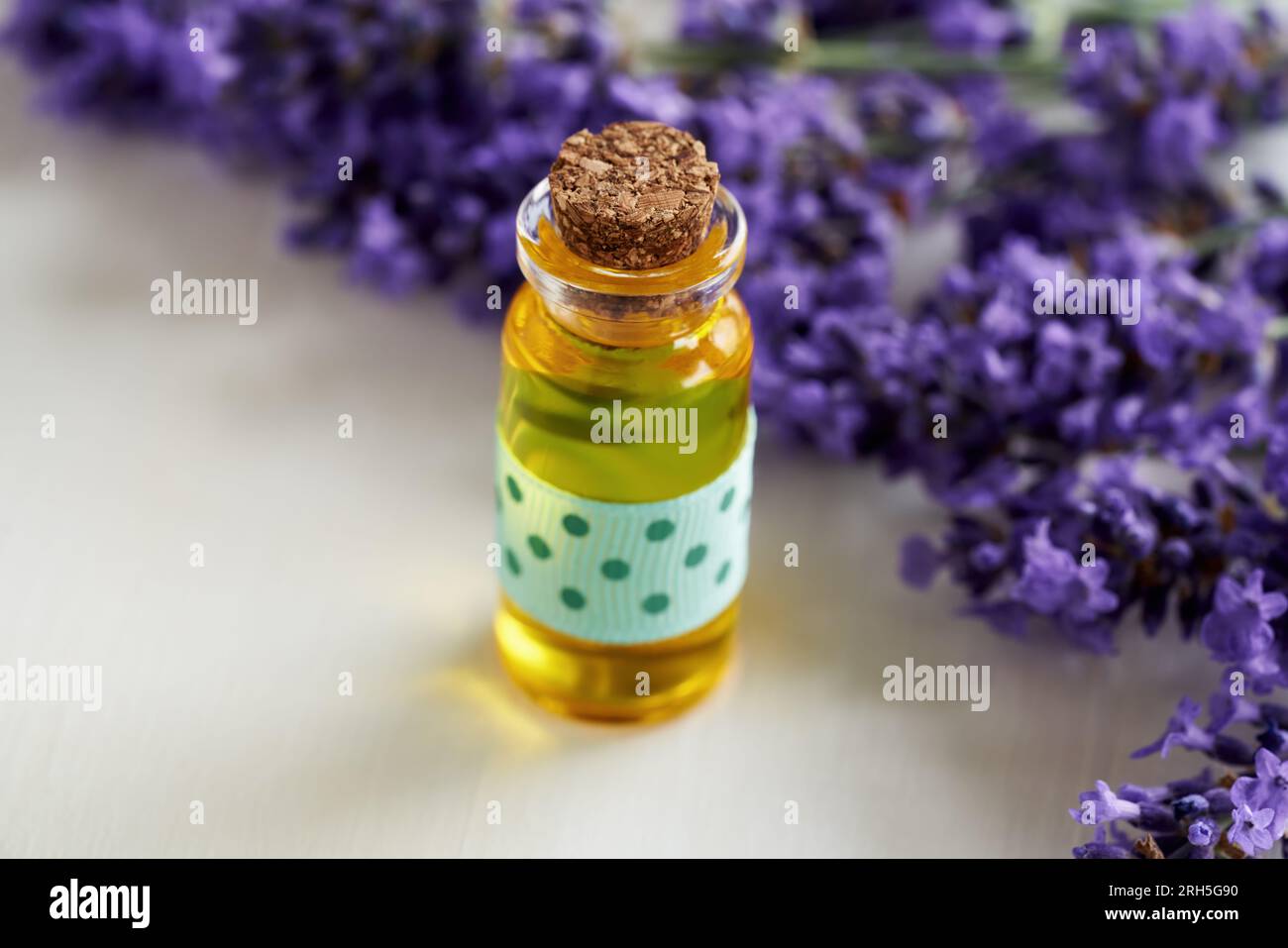 A bottle of essential oil with fresh blooming lavender plant on white ...