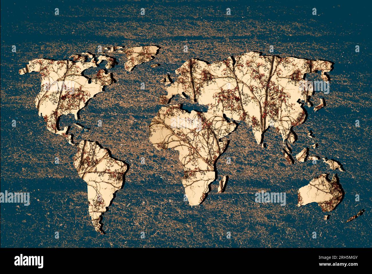 Fall leaf color map hi-res stock photography and images - Alamy