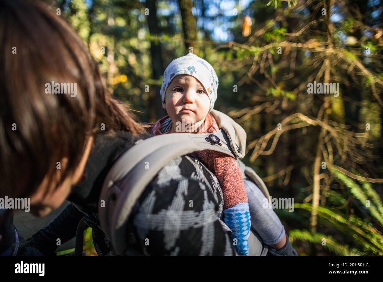 Baby gets a ride in carrier on mothers back in forest Stock Photo Alamy