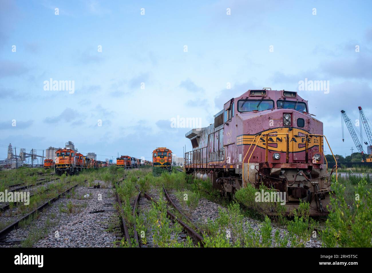 Locomotive storage tracks with weeds growing at dusk Stock Photo