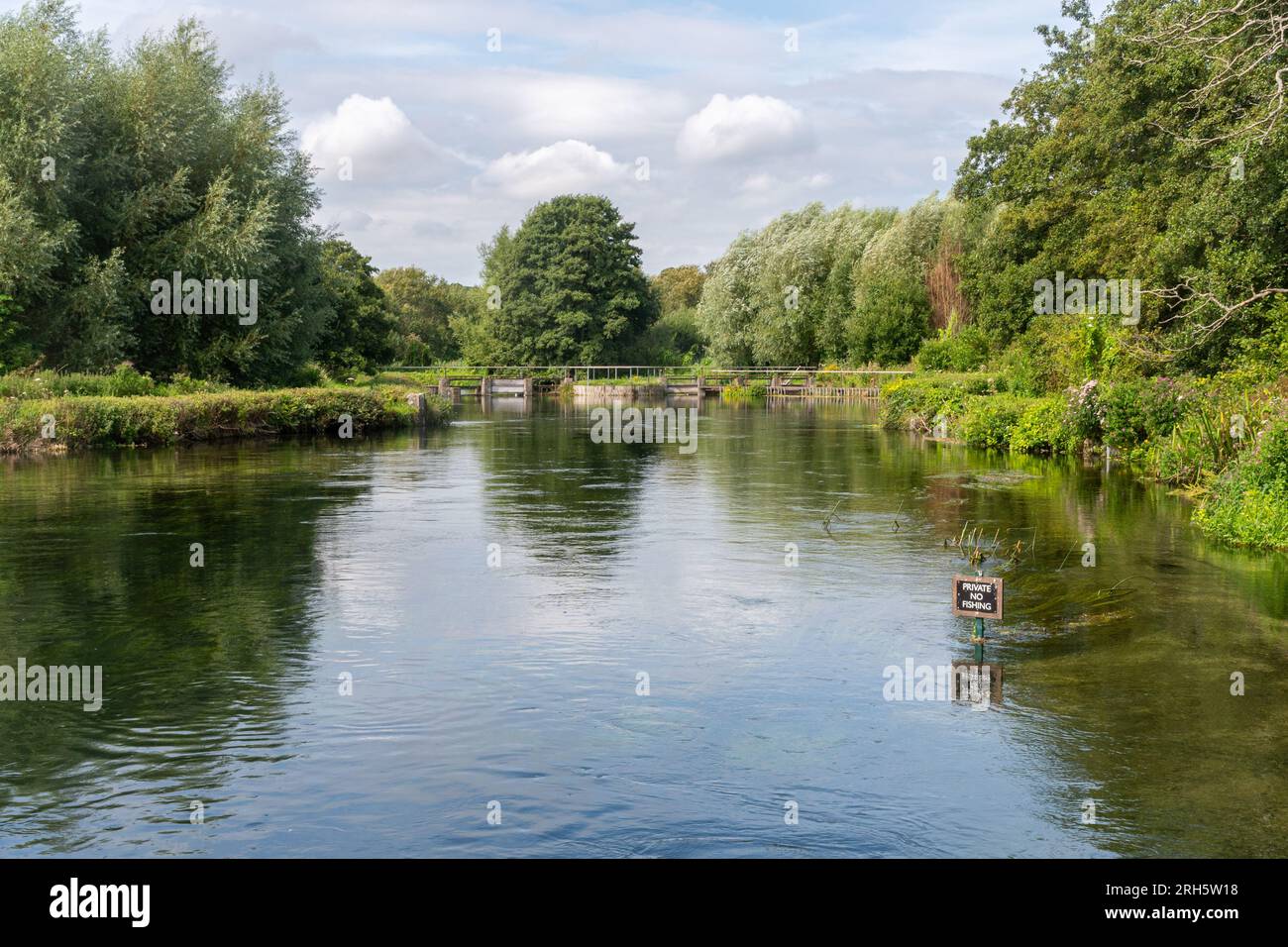 The River Test in Hampshire, a chalk stream with clear water famous for