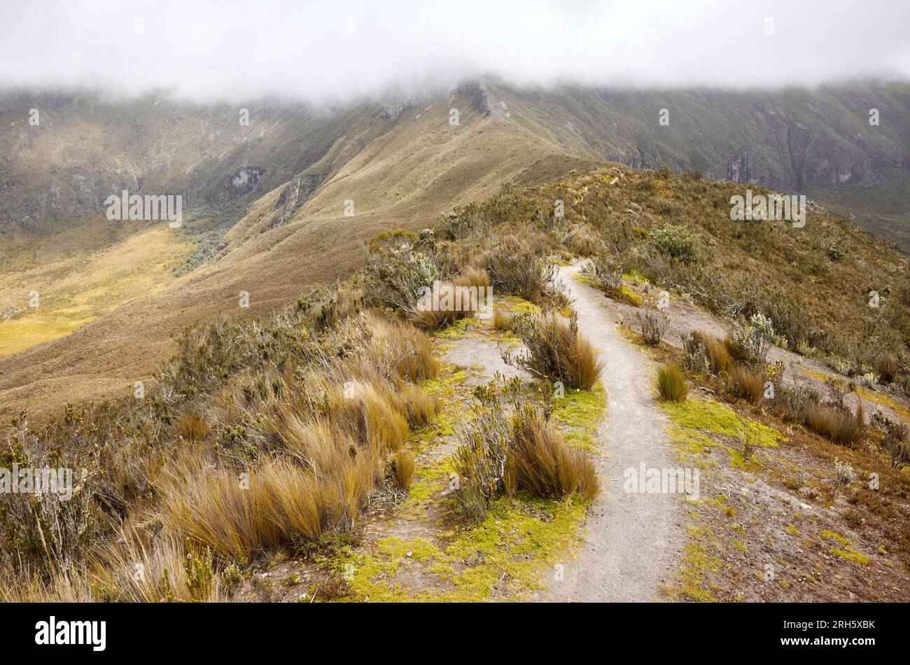 Path to Ruminahui, dormant stratovolcano (4721 meters above sea level ...