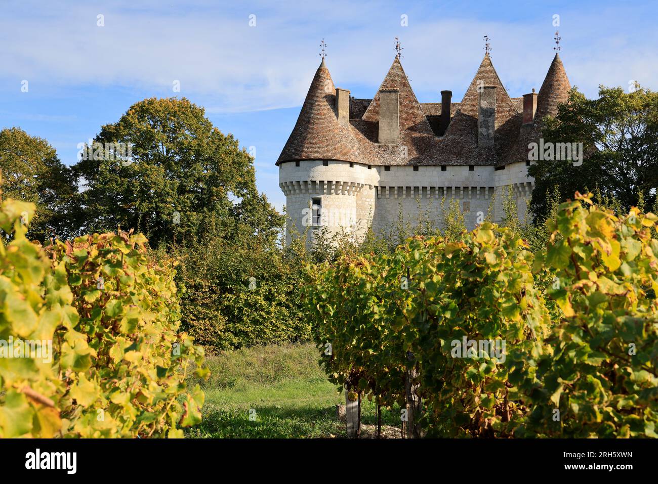 Vigne et vignoble des vins de Bergerac. Château, vigne et vignoble de Monbazillac. Production de vin blanc liquoreux. Monbazillac, Périgord, Dordogne, Stock Photo