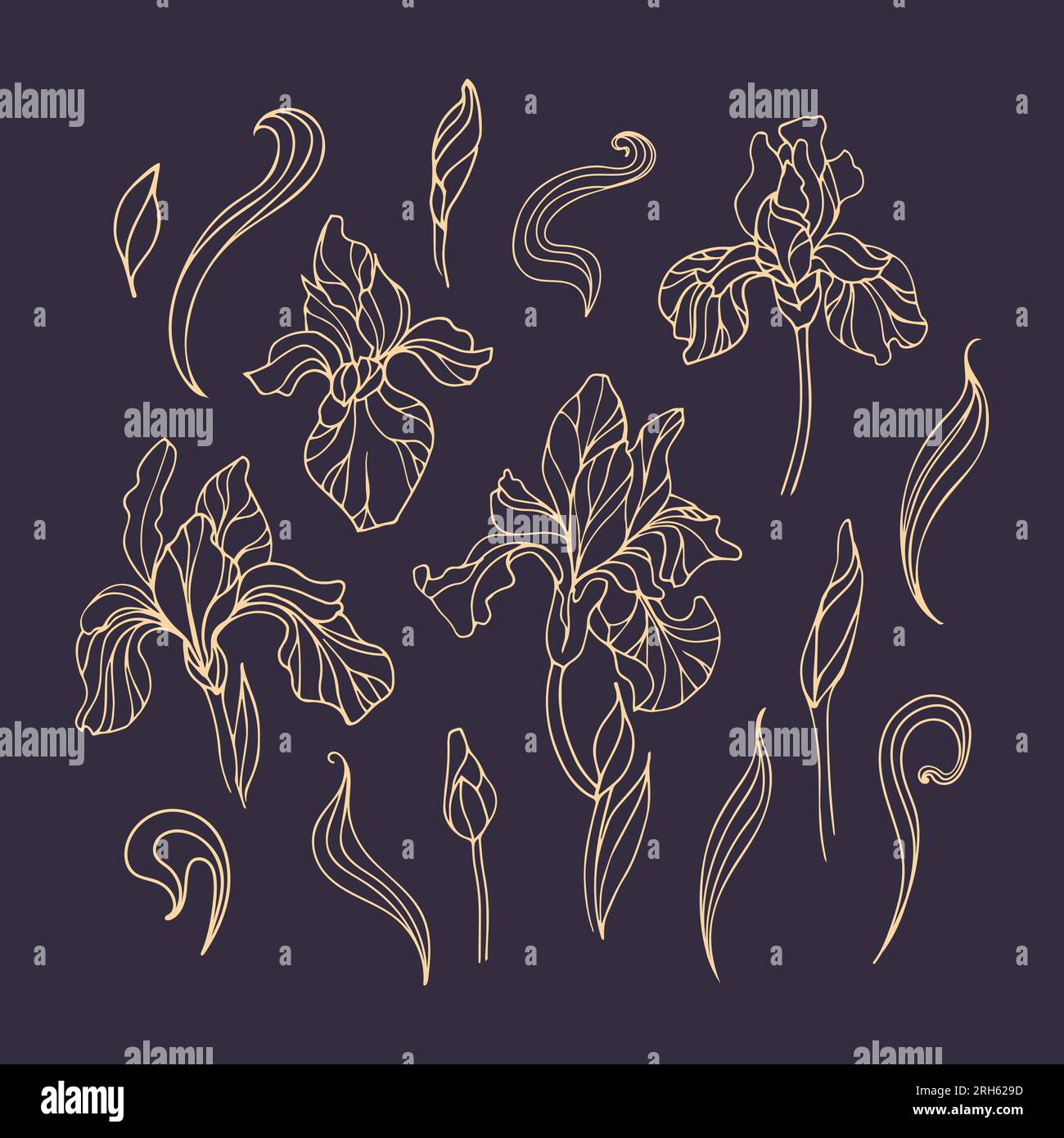 Art nouveau floral design hi-res stock photography and images