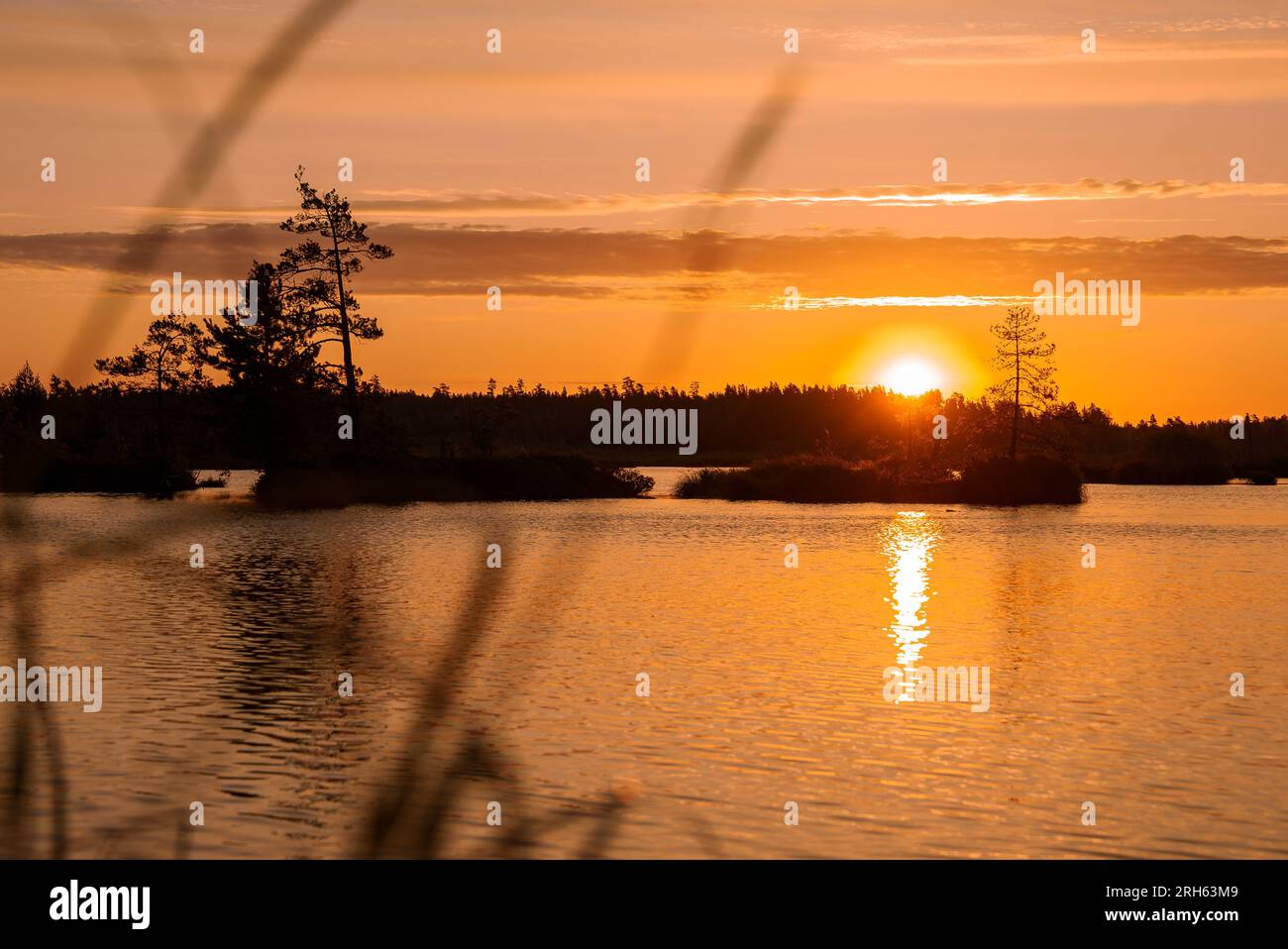 Magical sunrise over the lake.  Stock Photo