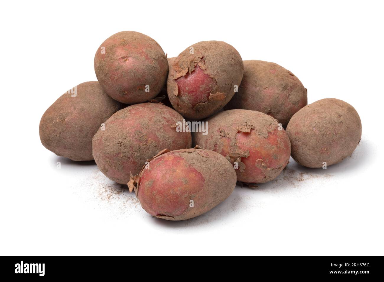 Heap of fresh picked red Alouette potatoes isolated on white background close up Stock Photo