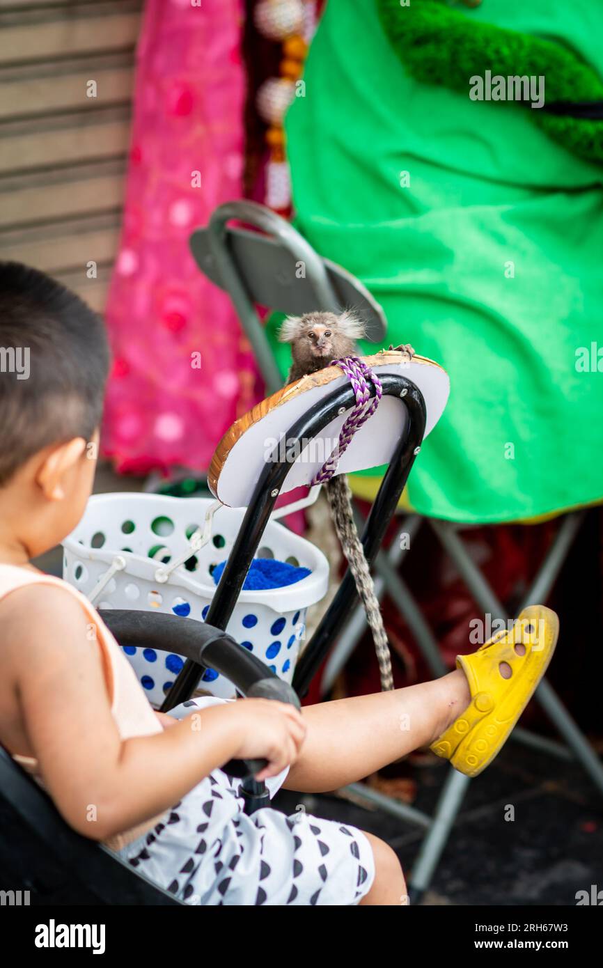 A little Thai boy watches a tiny pet monkey play. The monkey is tied to the owners chair, sat on Silom Rd, Bangkok, Thailand. Stock Photo