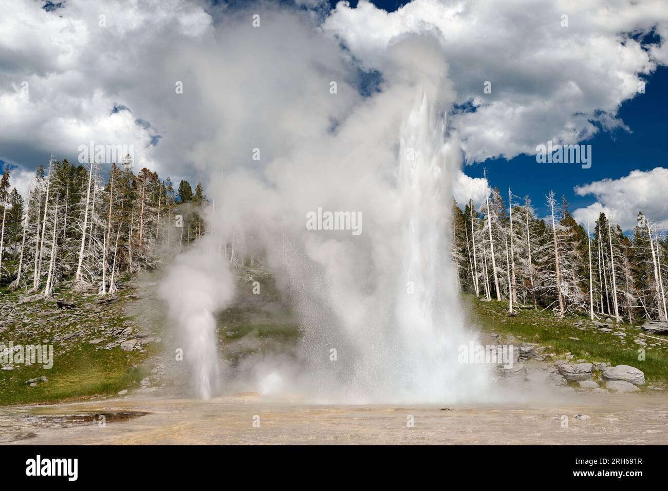 erupting Grand Geyser, Upper Geyser Basin, Yellowstone National Park, Wyoming, United States of America Stock Photo
