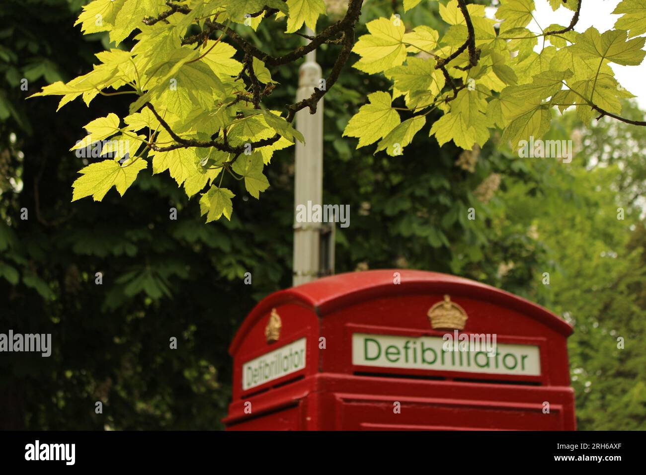 Green leaves hanging over old red telephone box converted to hold a defibrillator. Typical British telephone booth reimagined as defibrillator station Stock Photo