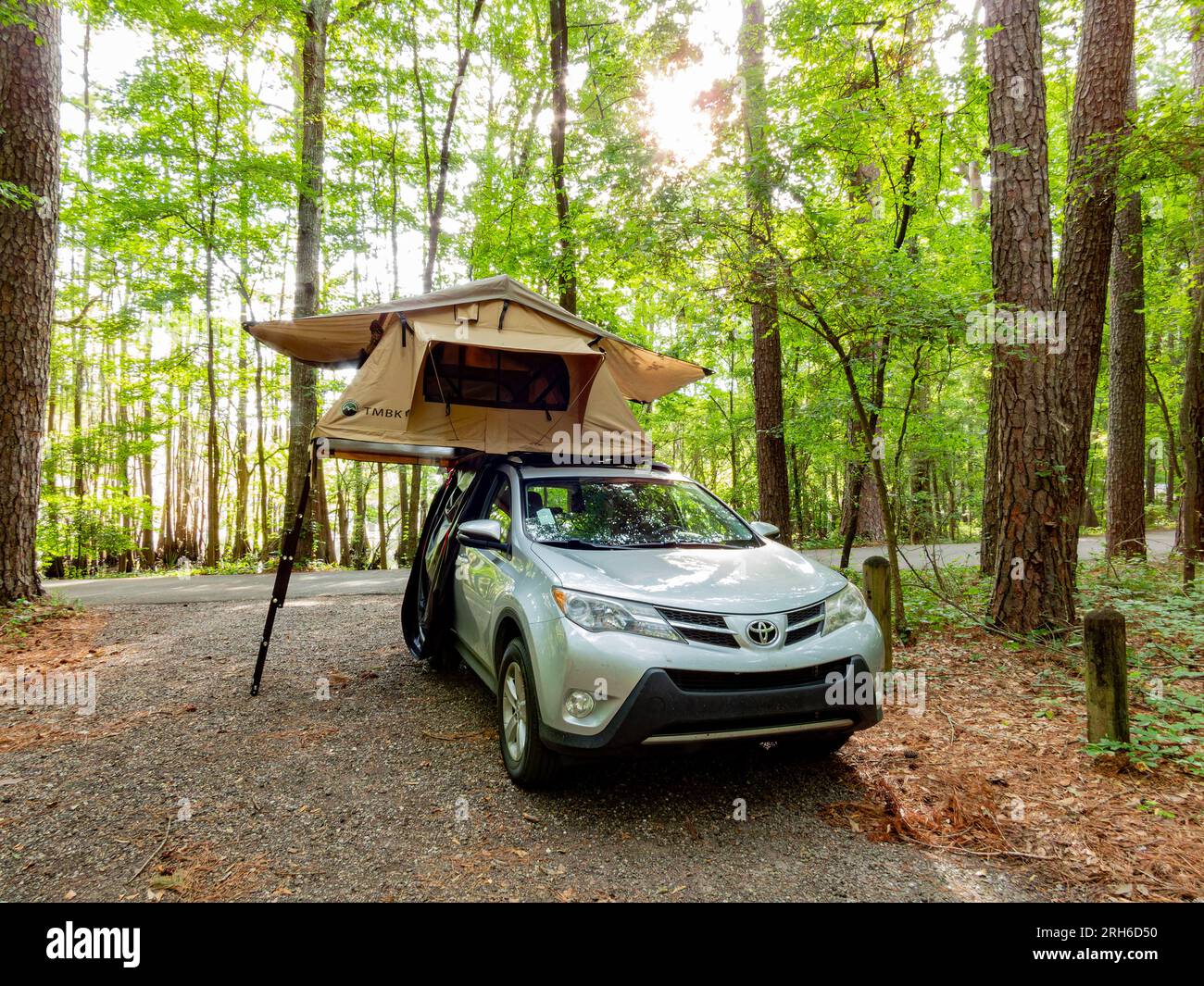 Texas JUL 2 2023 Toyota RAV4 with roof top tent in Caddo Lake State Park Stock Photo Alamy