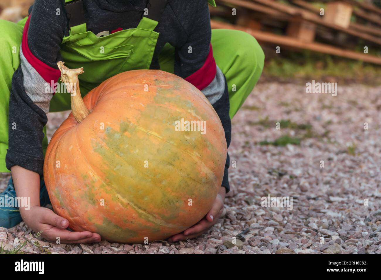 Trying to lift hi-res stock photography and images - Alamy