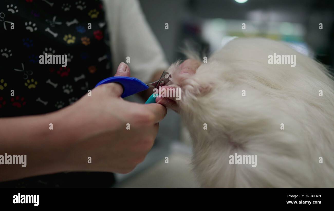 How to cut your puppy's nails🐾 | How to cut your puppy's nails🐾 | By  MetDaanFacebook