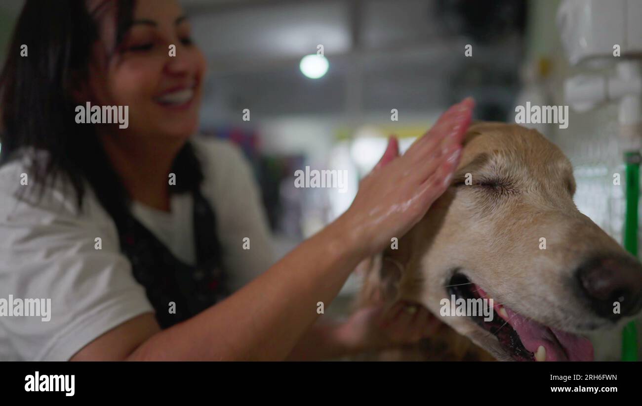 Petbathing hires stock photography and images Alamy
