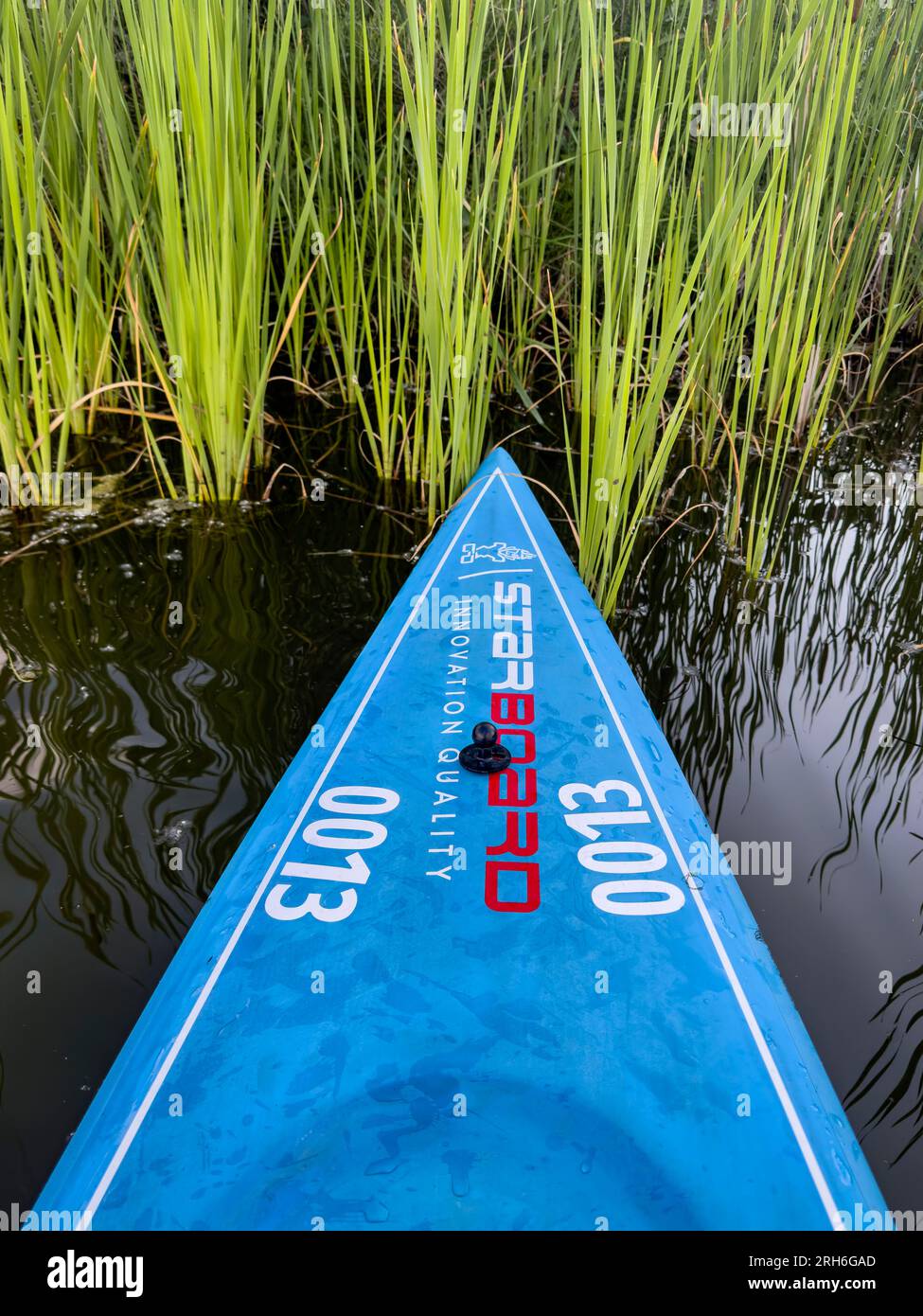 Fort Collins, CO, USA July 1, 2023 A bow of 2023 Waterline stand up