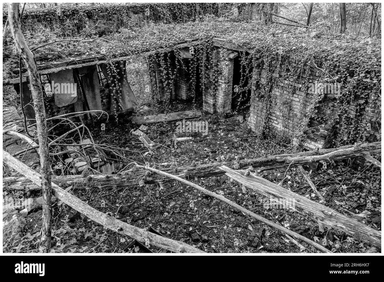 Friche industrielle dans les bois - Batiments a l'abandon emprisonnes par la nature, le lierre et les racines |  Industrial wasteland - industrial bui Stock Photo