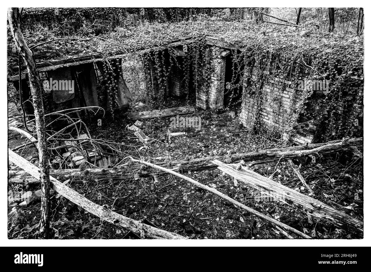 Friche industrielle dans les bois - Batiments a l'abandon emprisonnes par la nature, le lierre et les racines |  Industrial wasteland - industrial bui Stock Photo