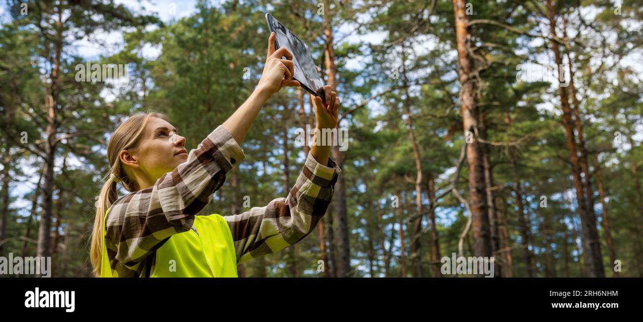 forest development and management. valuation and appraisal of forest. appraiser taking pictures of trees, biomass estimation. banner with copy space Stock Photo