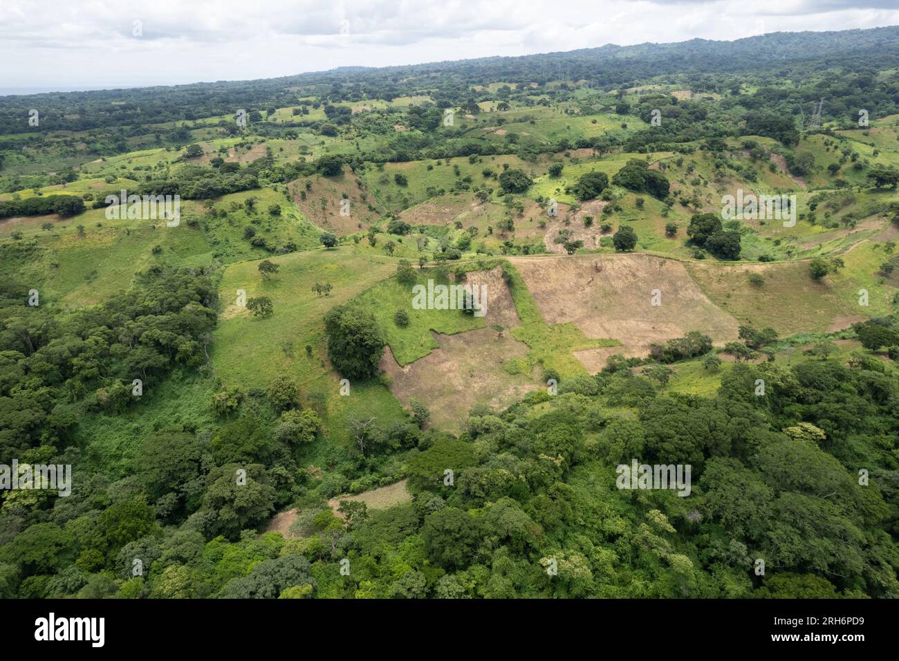 Green hill for agriculture purpose  aerial drone view Stock Photo