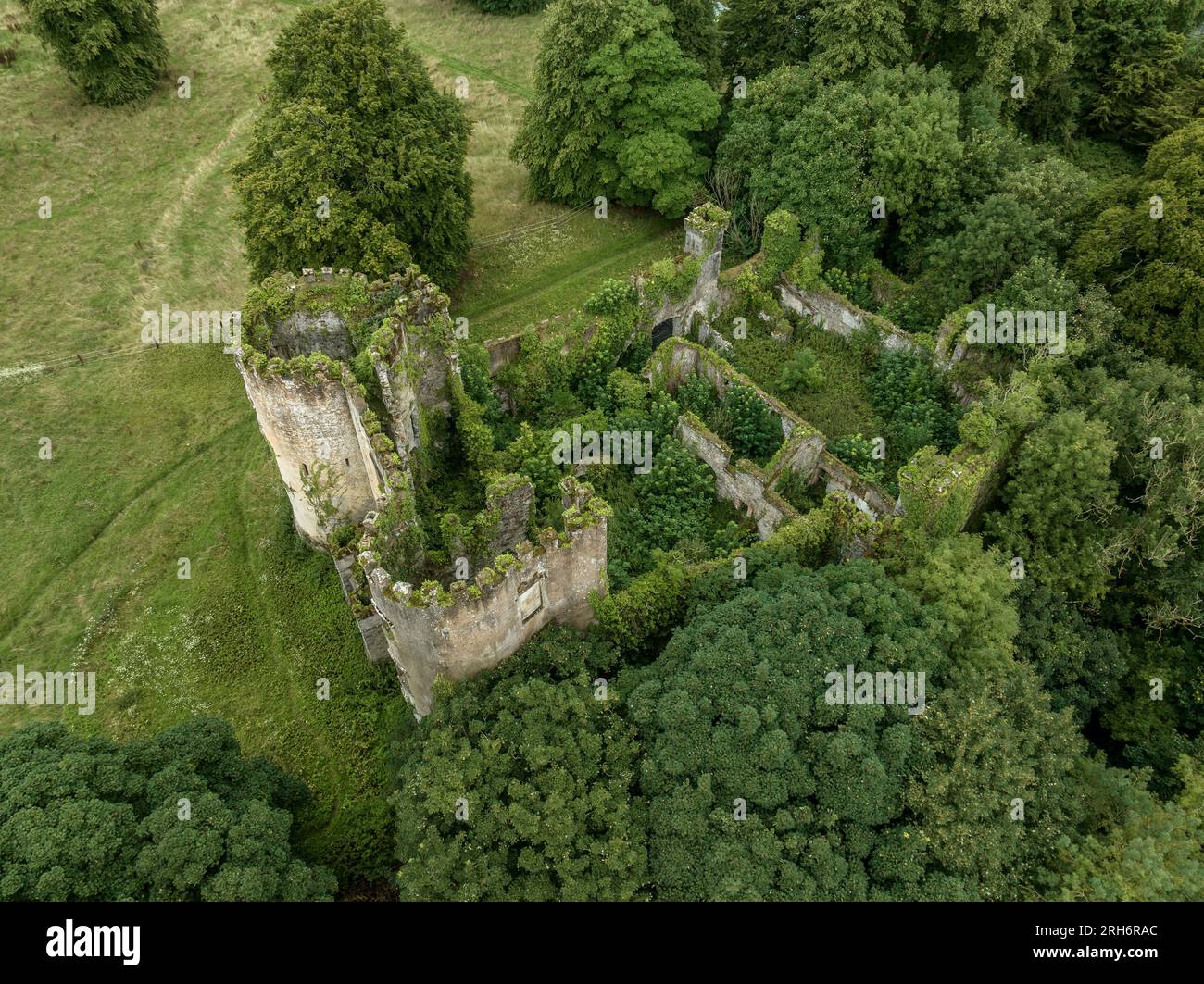 Aerial view of ruined and overgrown Buttevant or Barry's castle on the Awbeg river in County Cork Ireland with large circular towers Stock Photo