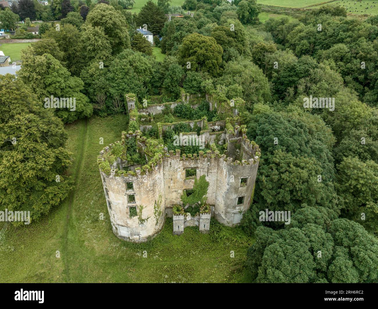 Aerial view of ruined and overgrown Buttevant or Barry's castle on the