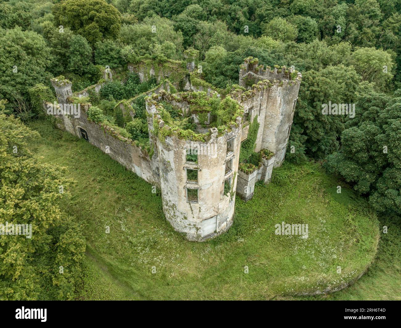 Aerial view of ruined and overgrown Buttevant or Barry's castle on the Awbeg river in County Cork Ireland with large circular towers Stock Photo