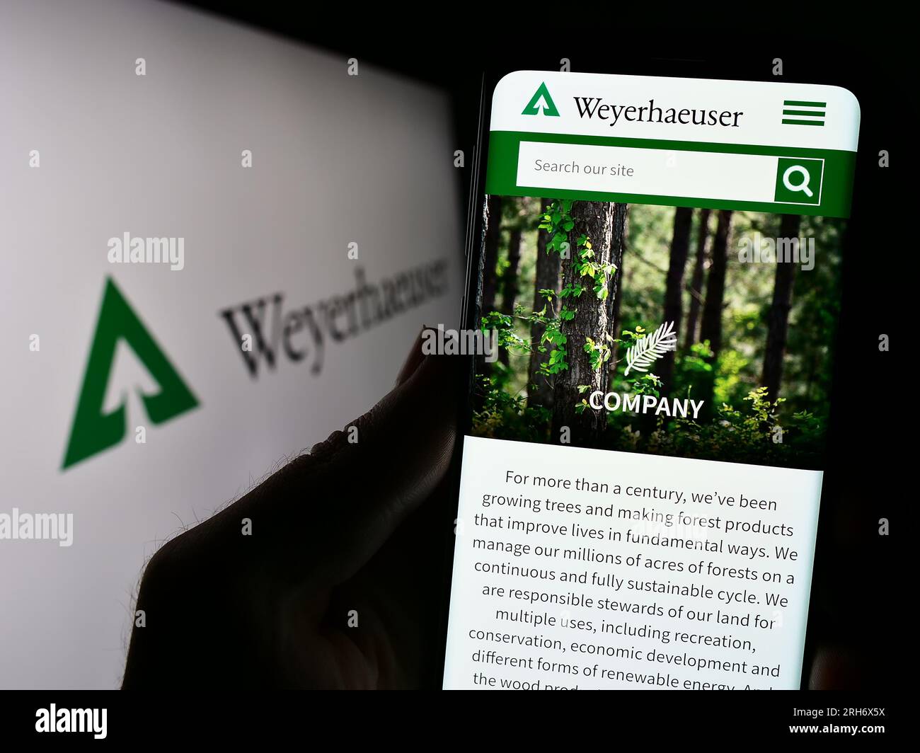 Person holding smartphone with webpage of US timberland business Weyerhaeuser Company on screen with logo. Focus on center of phone display. Stock Photo