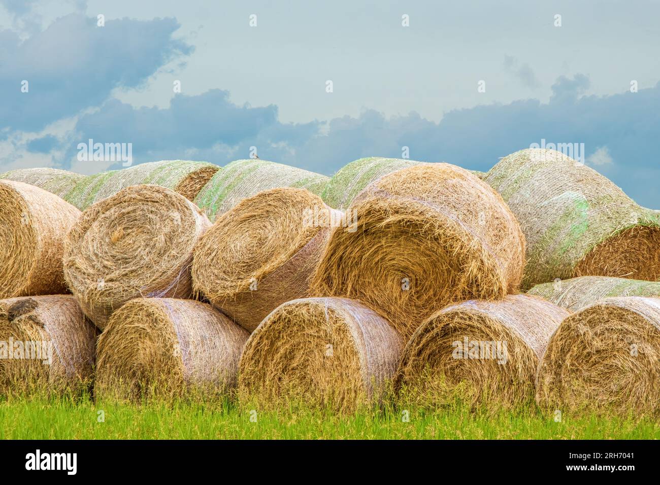 Round bales of straw piled up on a farm in rural Manitoba. Stock Photo