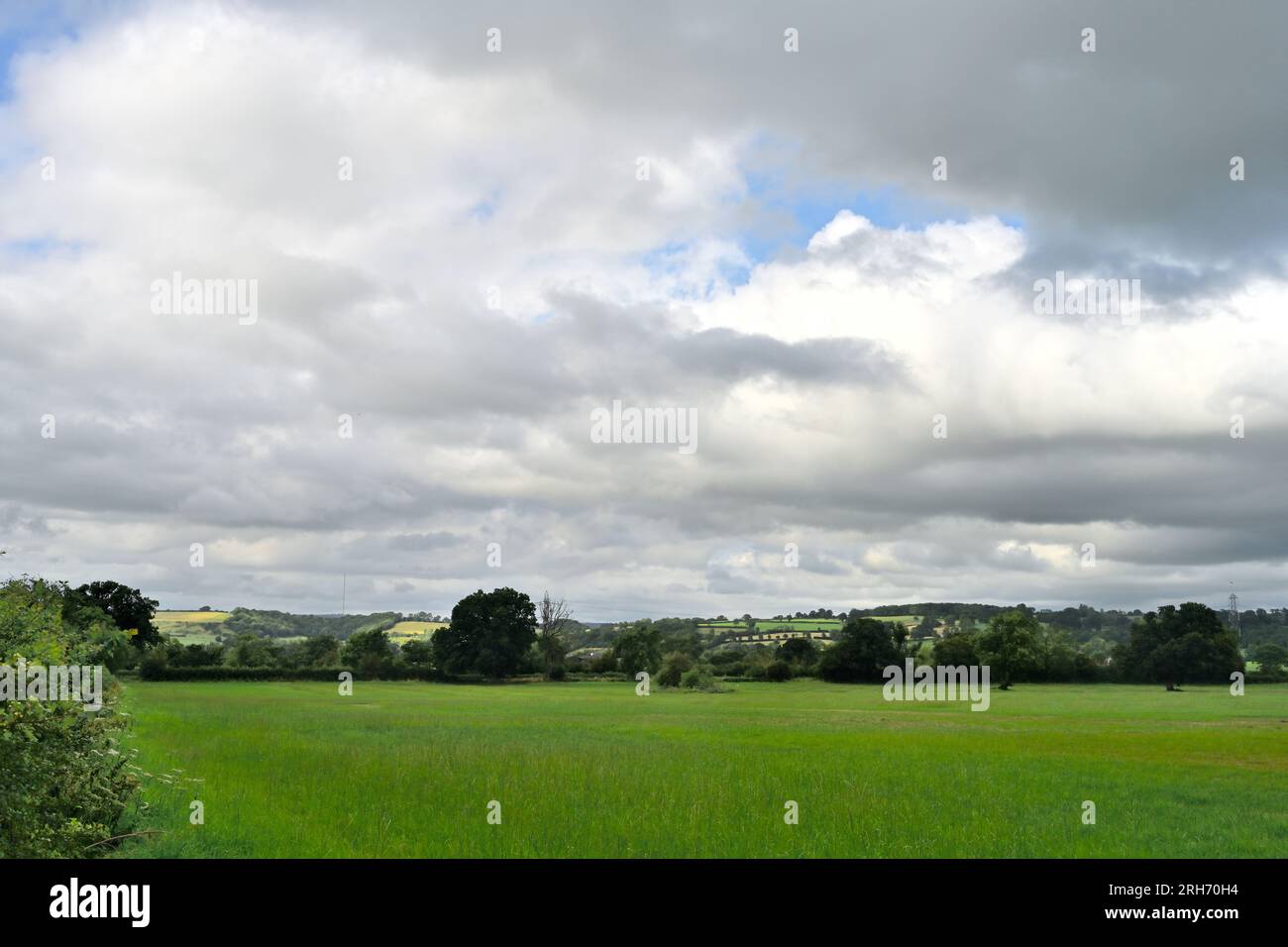 Glastonbury countryside with low hill, trees and fields on cloudy day, UK Stock Photo