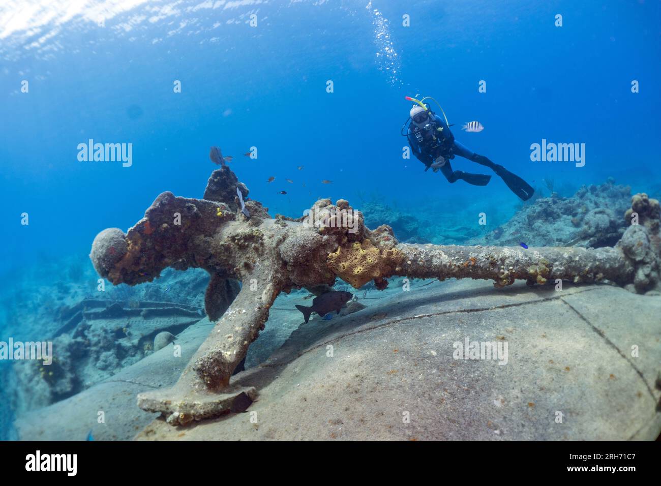 Grand Cayman Stock Photo