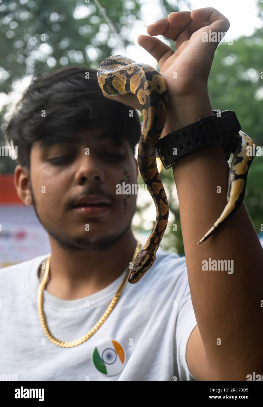 A boy name Ritesh Sarma shows his pet snake a Ball python in an ...