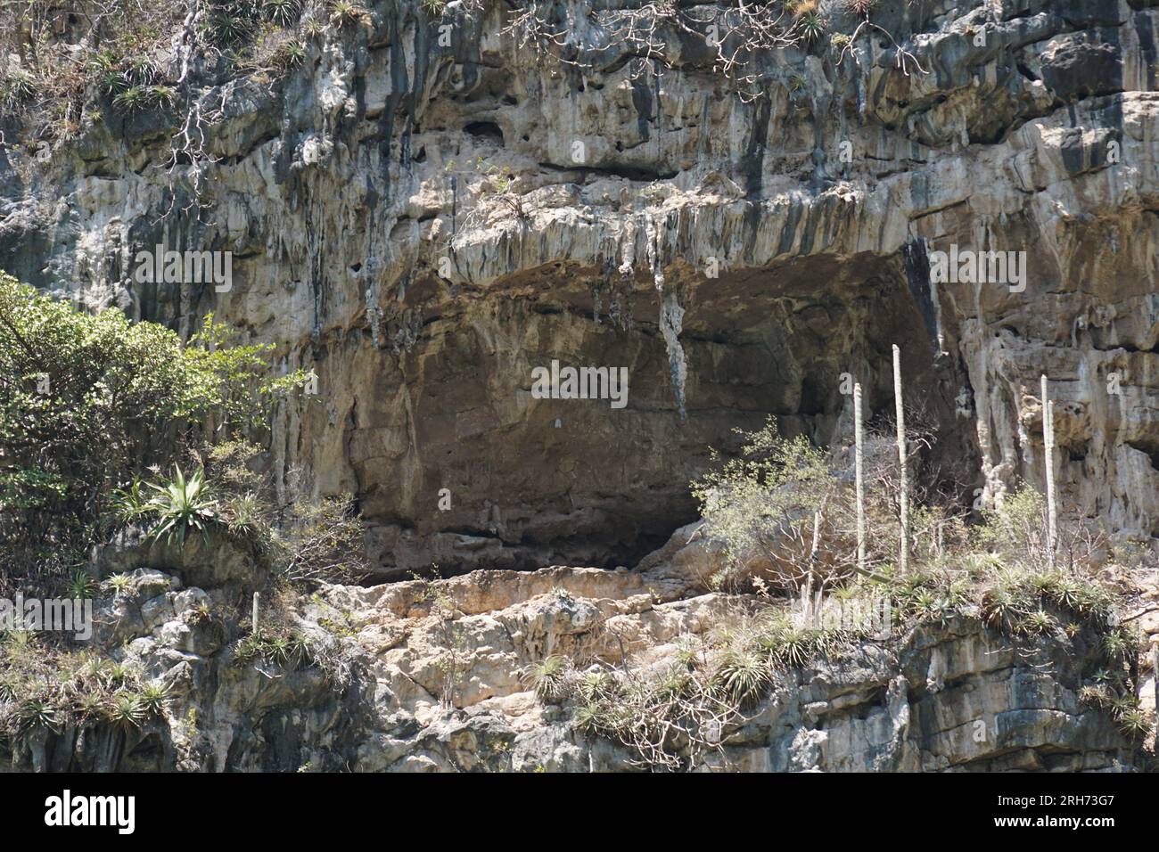 Limestone, seahorse, geology, sumidero canyon at chiapas, mexico Stock