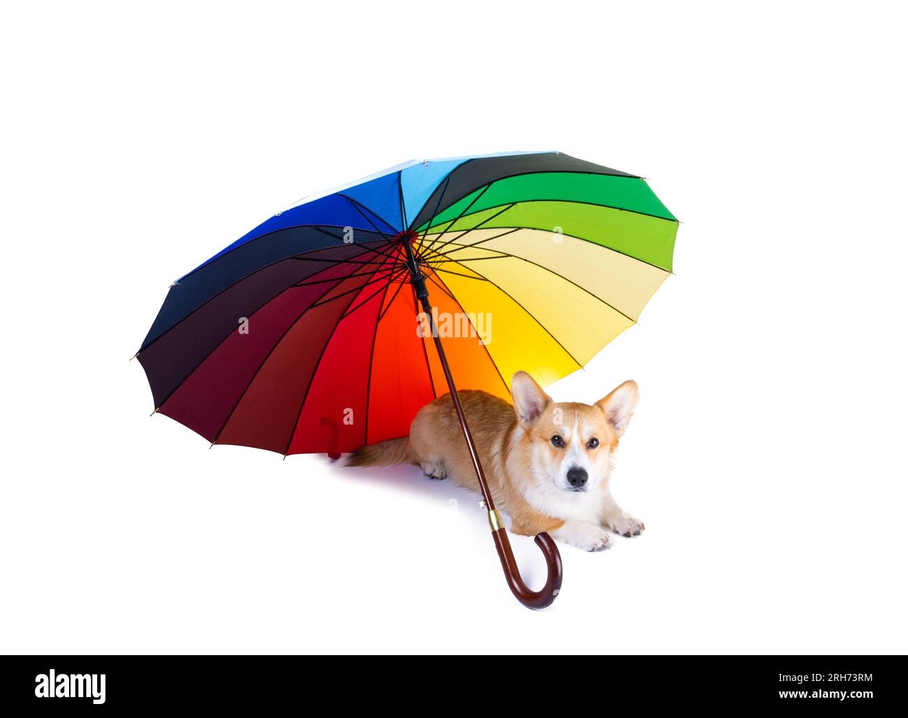 multicolored umbrella isolated on white background Stock Photo