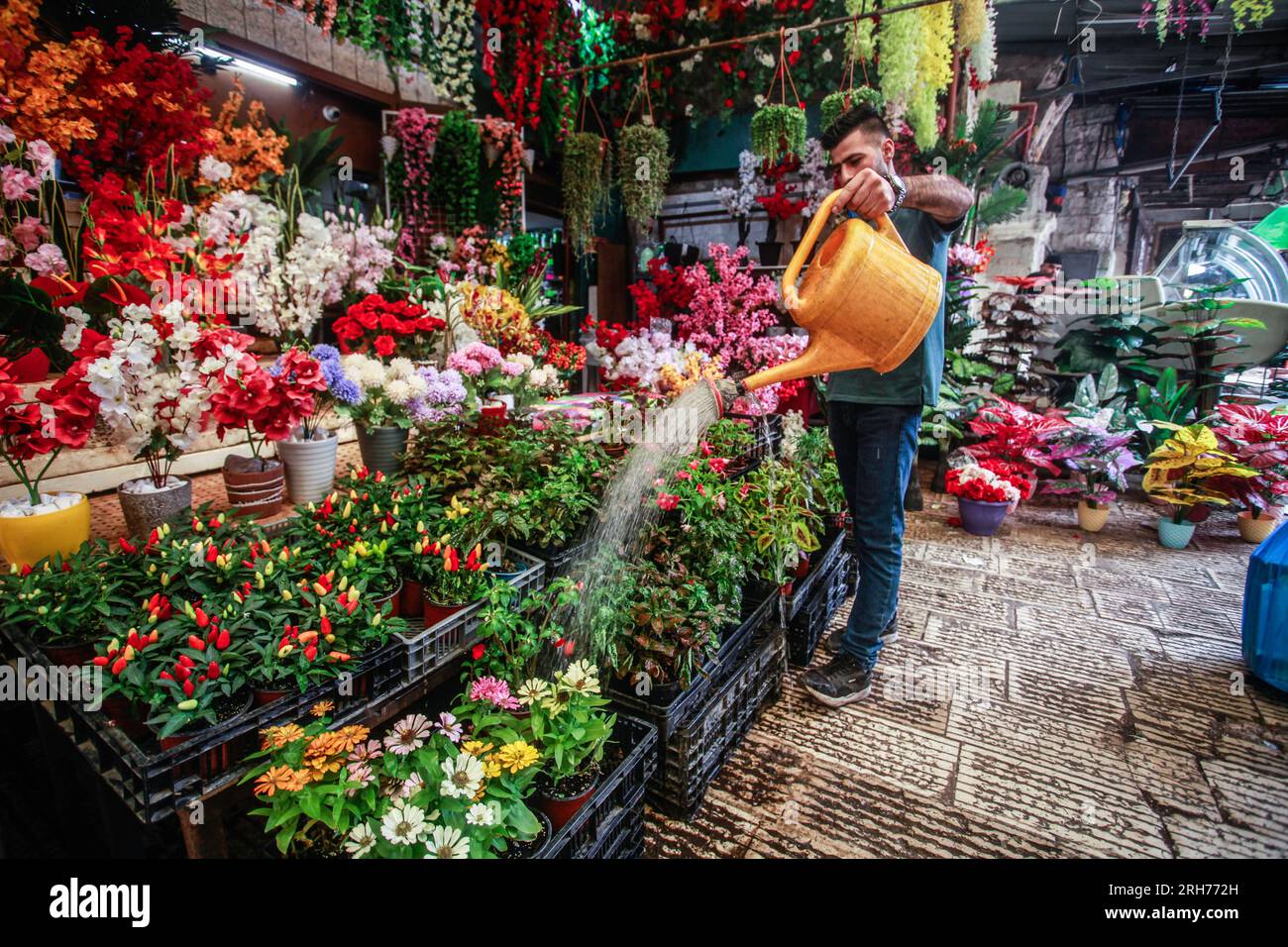 Palestinian Roses Nablus, Palestine. 14th Aug, 2023. A Palestinian shop owner sprays cold ...